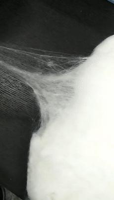 央视曝光蚕丝被长期盖,桑蚕丝真丝被曝光