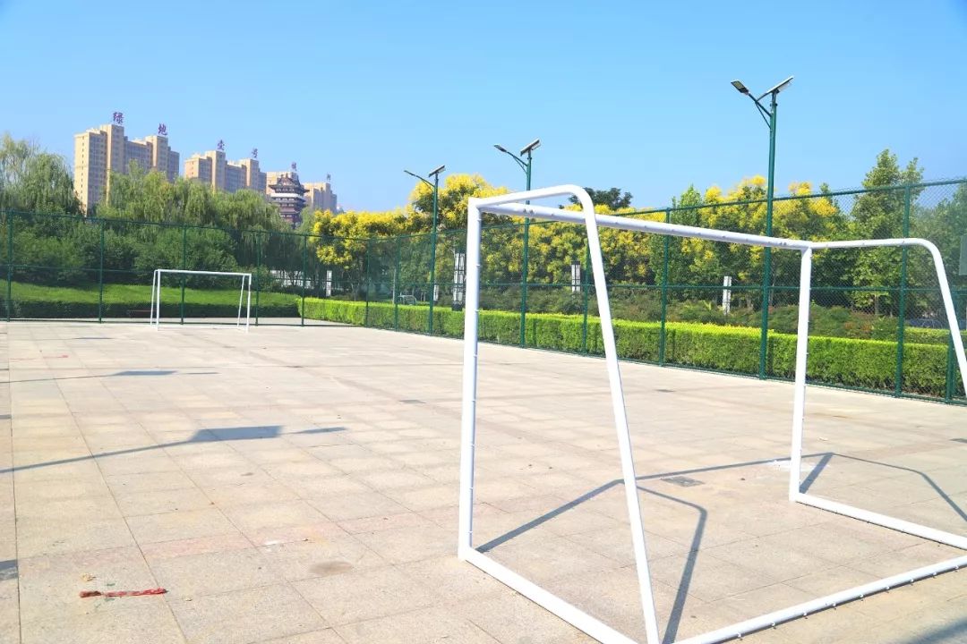 夏邑足球场所在地,高大上的体育场在哪里