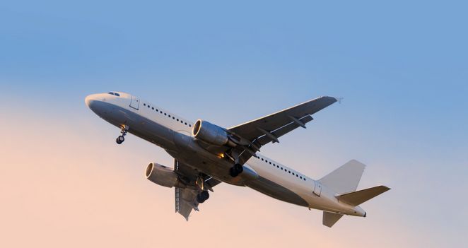 兰卡生活|顺丰直邮有优惠，茶叶乳胶枕等伴手礼买回国不是事儿