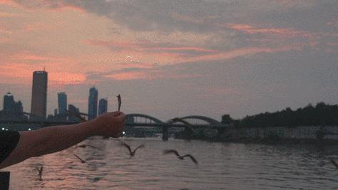 闊╁浗娣卞缇庨鏀荤暐,闊╁浗澶滄櫄缇庨鏀荤暐