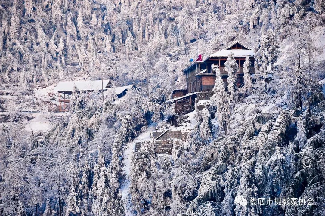 生态娄底美丽家园——【壮丽70年奋斗新时代】娄底首届风光摄影作品展览生态小品作品选登