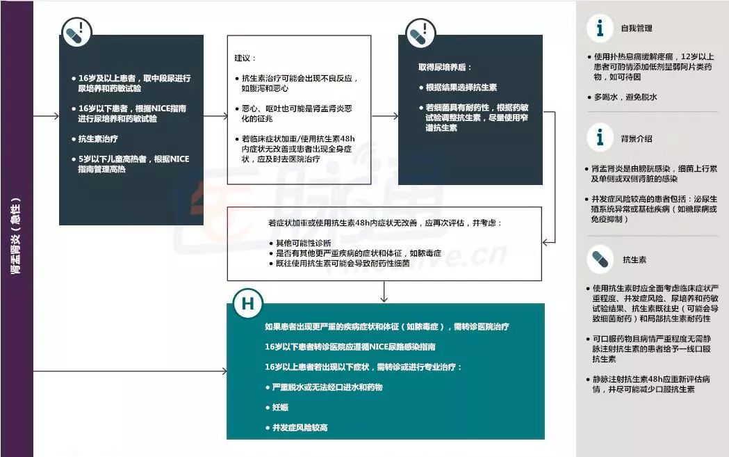 肾盂肾炎用药全攻略,肾盂肾炎抗菌用药疗程