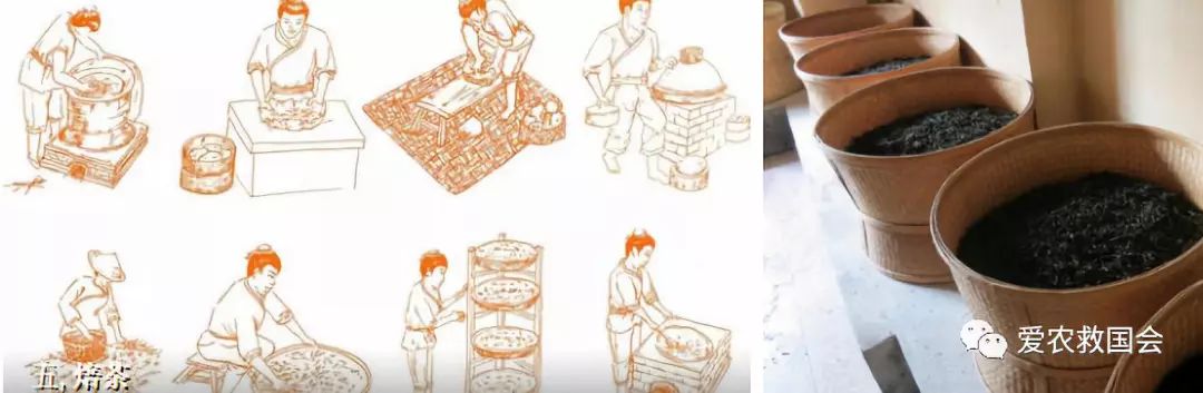 宀╄尪鍒惰尪鏁欏,鍒惰尪宸ヨ壓涓庤尪鏂囧寲