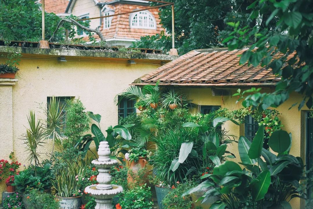 厦门自助旅游食住攻略,厦门旅游吃什么实惠