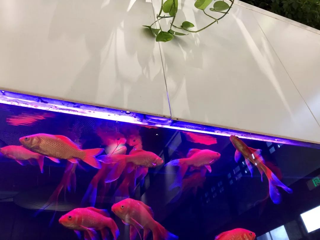 省政府点名表扬,被省卫健委通报批评后果