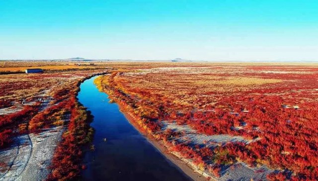 内蒙古的秋天有多美,内蒙古的秋天有多美啊