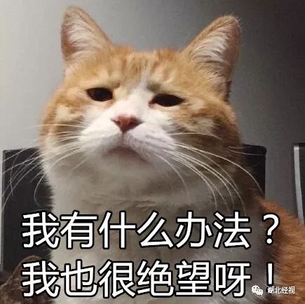 女子为报恩坚持10多年,女子手绣锦旗感谢民警追回31万元