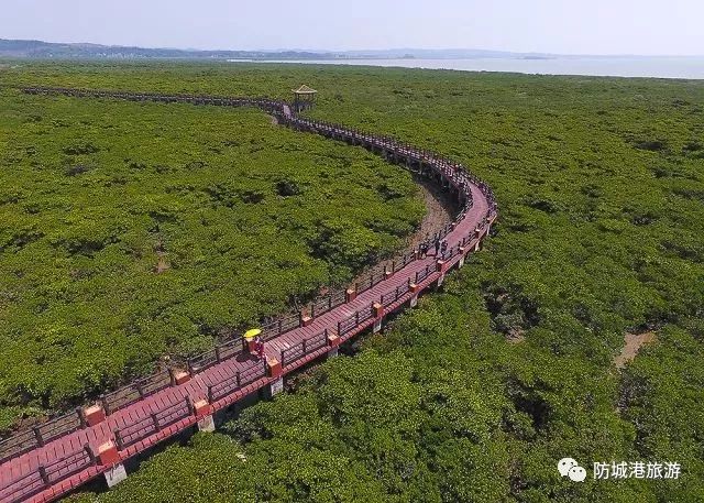 上山下海出国,上山下海出国游