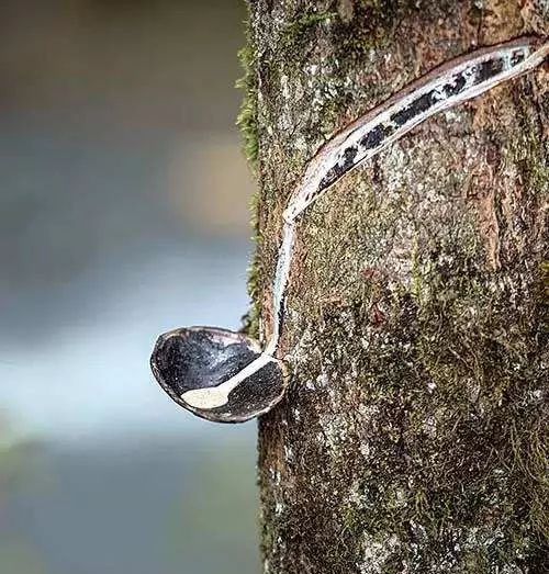各种漆的特点及图片,各品牌漆的特点