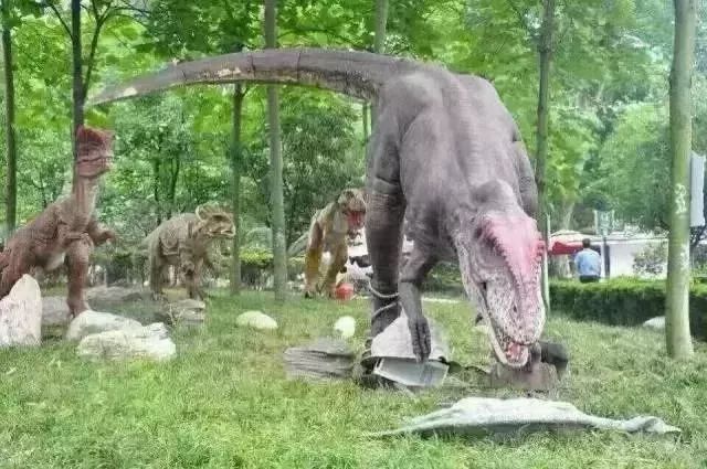 肇庆鼎湖新区体育中心中秋游园会,肇庆新区体育中心中秋游园会