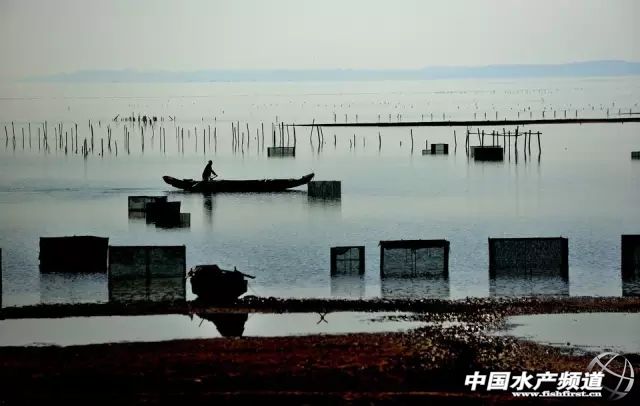 21年大闸蟹最佳食用时间,史上最全的大闸蟹食用指南