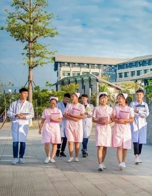 档案解密十二生肖,十二生肖天数配对解密