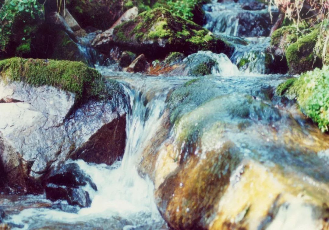 阿里河山泉水，清甜甘冽，喝上伊勒呼里的泉水心醉神迷