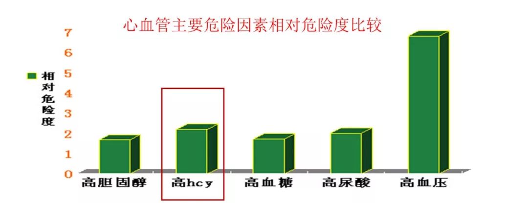 同型半胱氨酸健康科普涨知识,同型半胱氨酸怎样判断超标