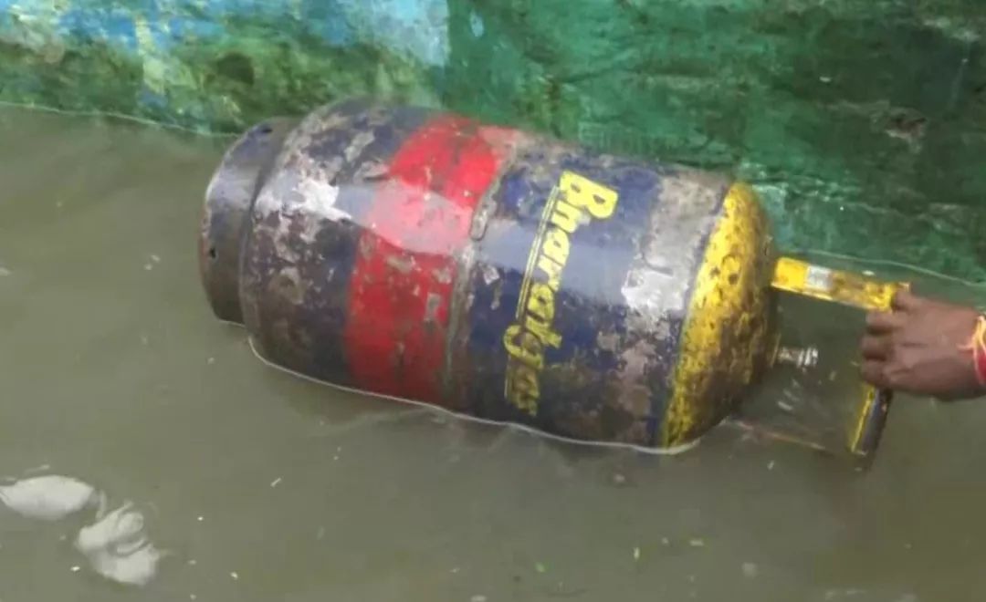 印度人为了求雨给青蛙办婚礼 (印度青蛙办婚礼求雨)