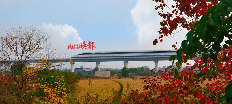 你好，我叫南昌！这是我的2019新名片