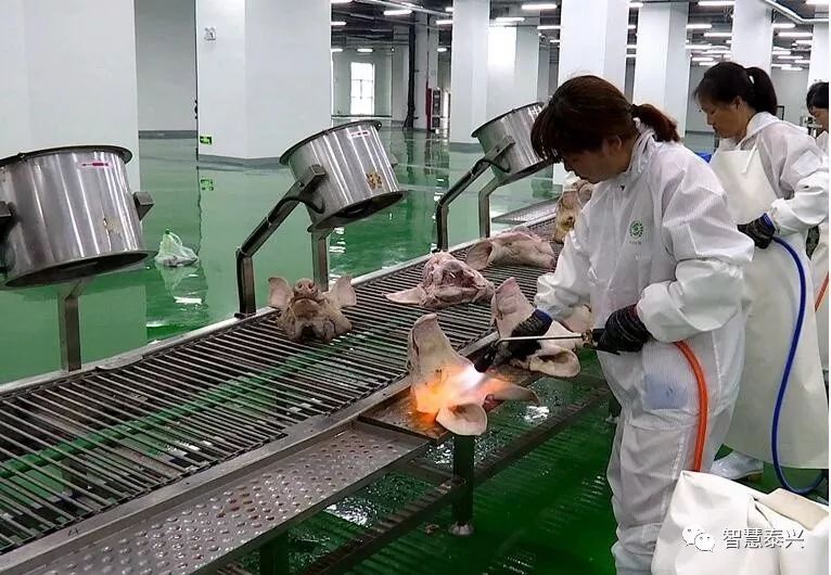 泰兴肉价最新价格,泰兴今日肉价