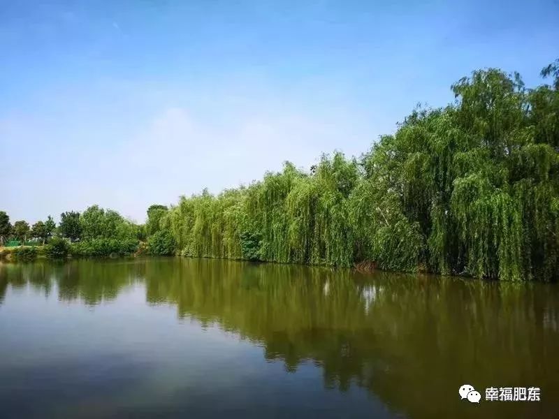 肥东青山小筑民宿,肥东民宿哪家最好