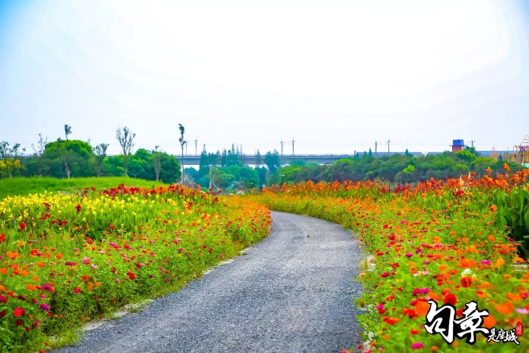 火车来斯，阿狸乐园…国庆到江北玩，先看这篇！躲避拥堵，尽知一切