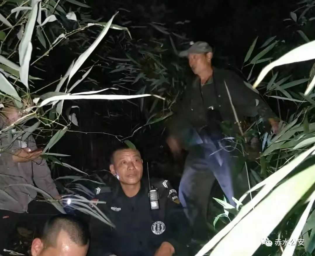 【双提升专栏】重庆老人采竹笋被困深山警民搜寻6小时成功营救