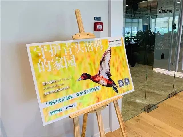 阿拉善see公益在哪,感谢爱心人士及企业的大力支持