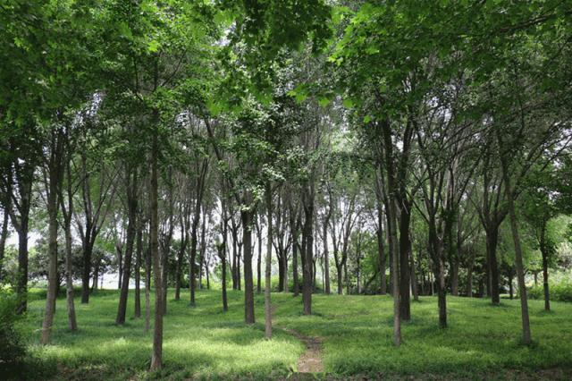 期待郑州的未来更好,超级期待新的一年