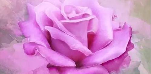 哲理小故事大启发短篇,课堂演讲的哲理小故事大启发