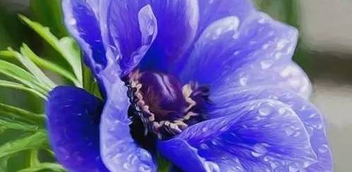 哲理小故事大启发短篇,课堂演讲的哲理小故事大启发