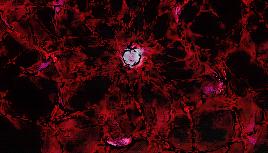 只有7天假期要回老家吗,放假不在家真的是浪费假期啊