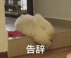 上海985高校名单公示,985211上海高校名单公示