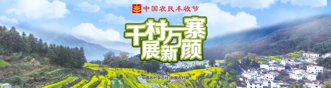 太攒劲！博州4个村子入选国家级展示