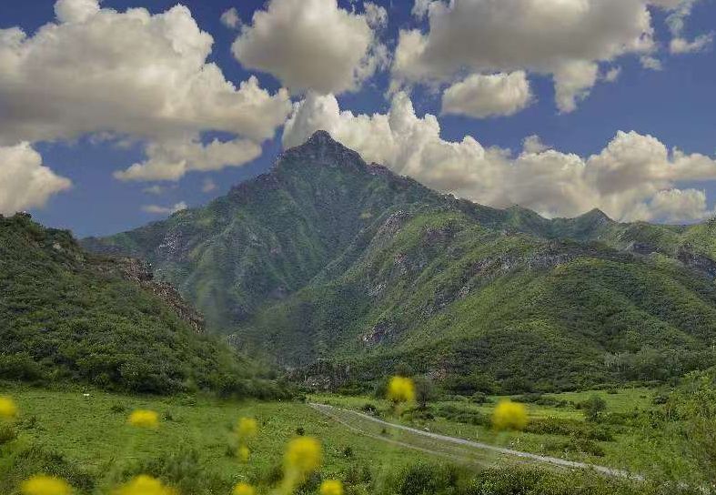 旅游推荐乌鲁木齐,旅游乌鲁木齐宣传片