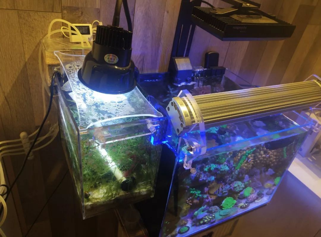 40小缸全套,40的方缸用多大的过滤桶