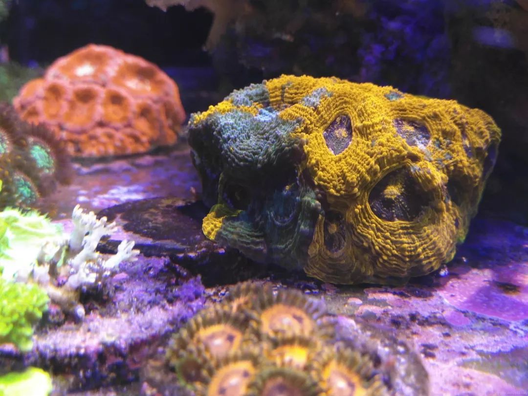 40小缸全套,40的方缸用多大的过滤桶