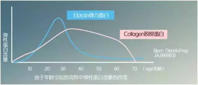 蛋白贴去皱,胶原蛋白颈纹贴