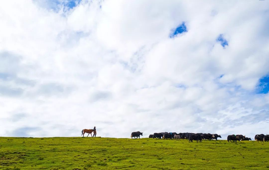 国家地理评选中国最美风景,国家地理评选中国最美100地