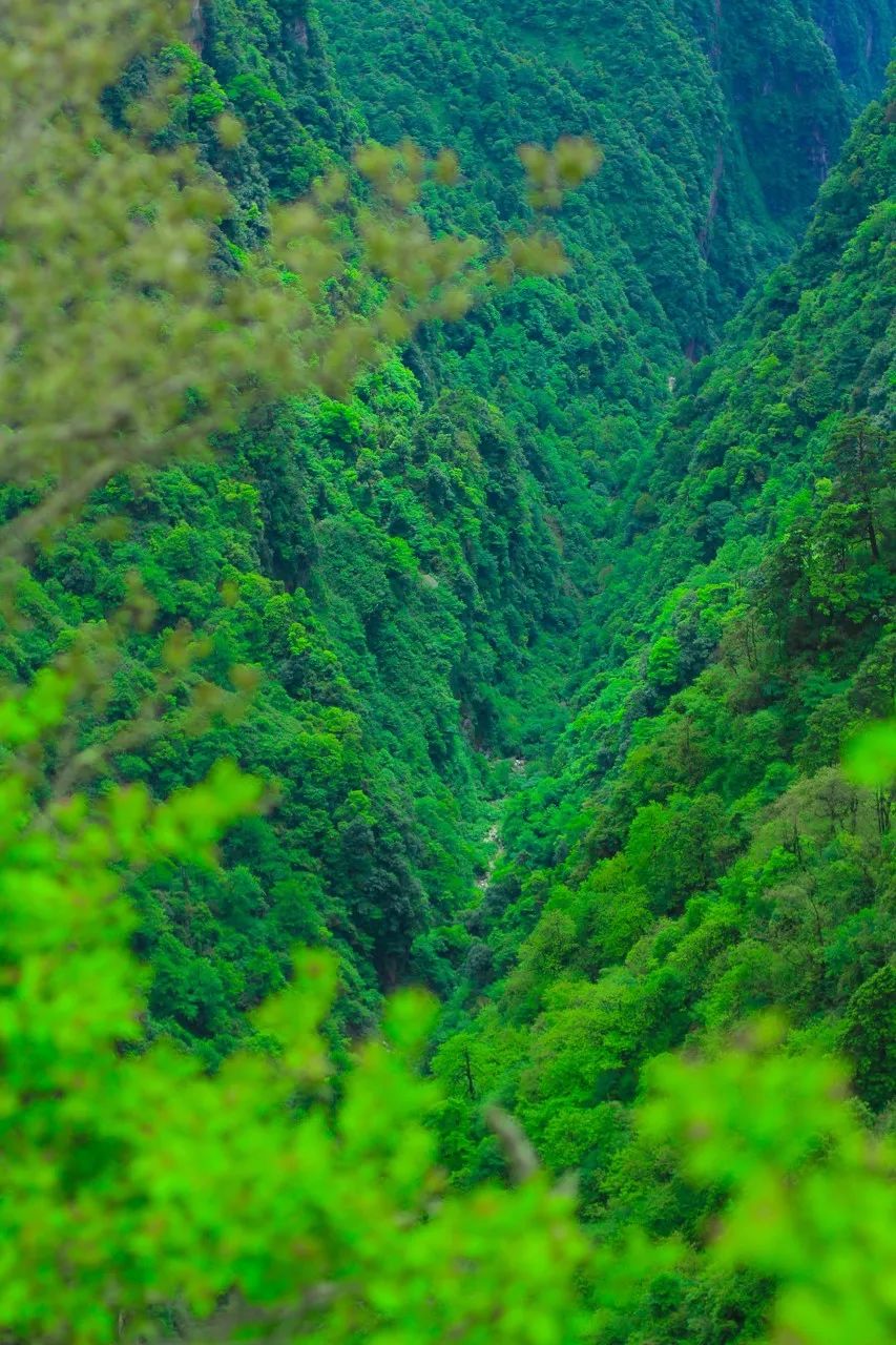 国家地理评选中国最美风景,国家地理评选中国最美100地