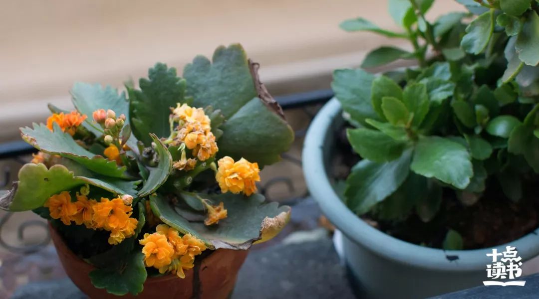 周国平关于亲近的人的讲究,周国平说任何交往都不能超越界限