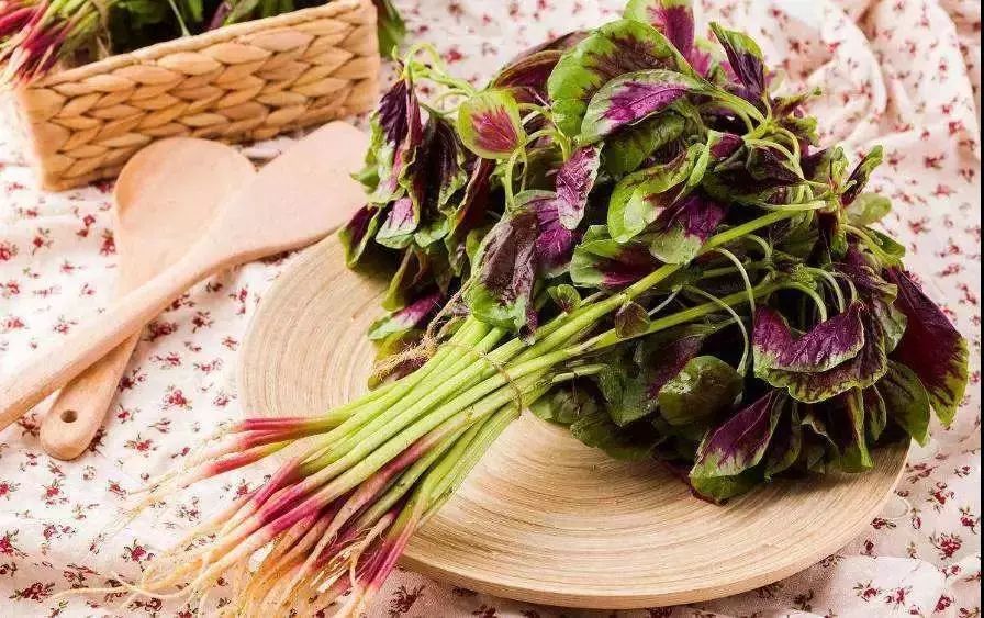 秋分节气是中国的农民丰收节,中国农民丰收节秋分2022年