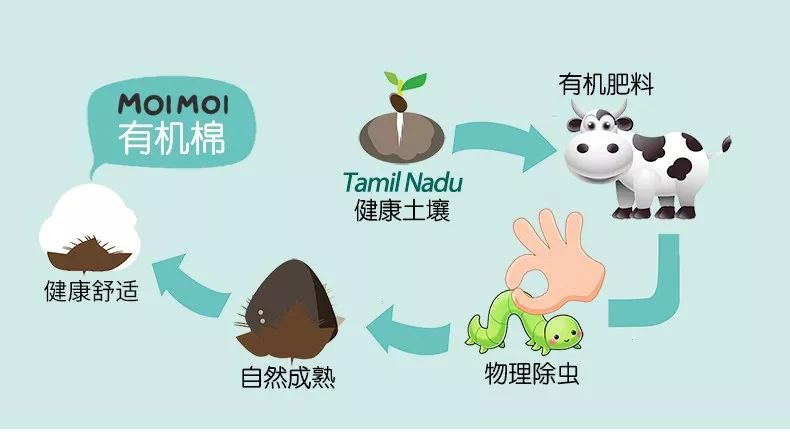 有机棉内衣,什么牌子的儿童内衣好穿