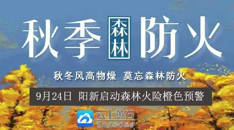 中信特钢青岛特钢,中信特钢官网