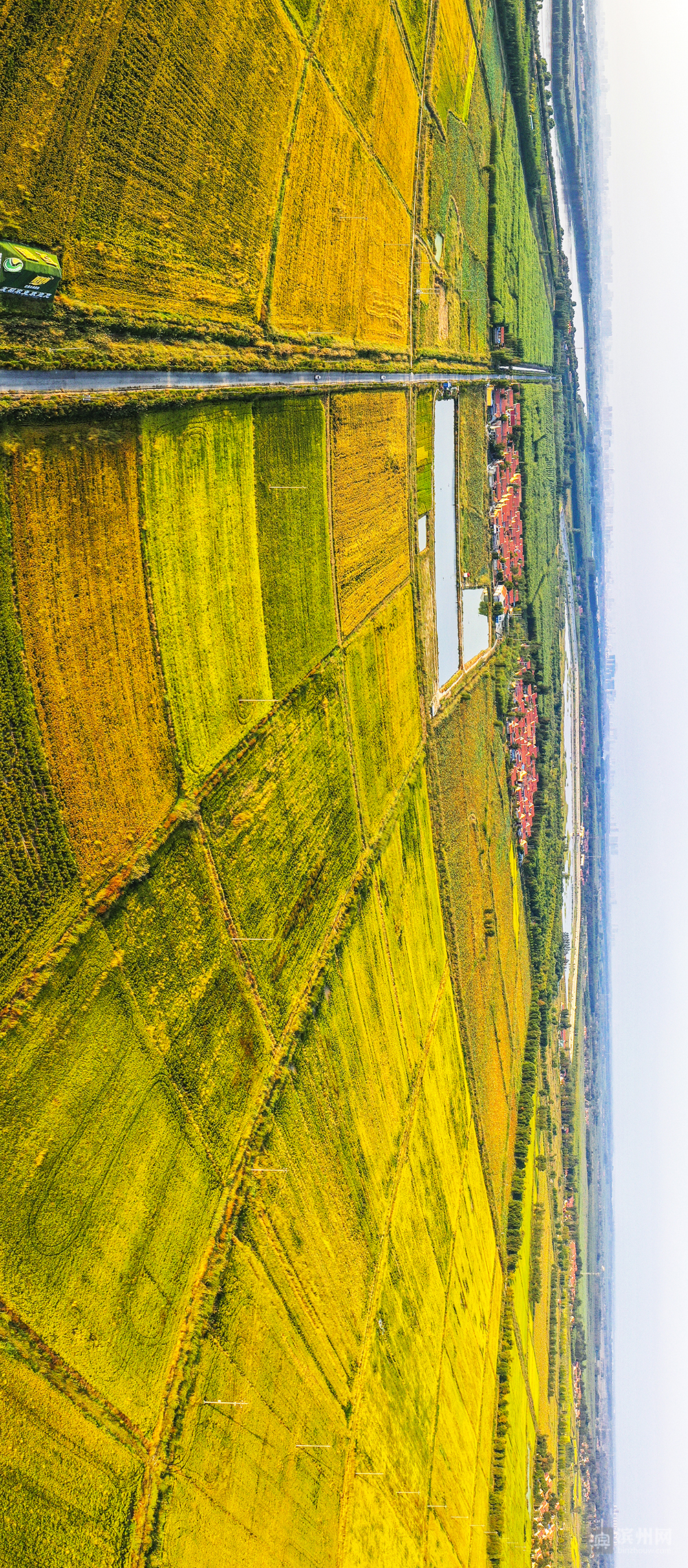 飞越滨州高新区：改革先行区厚植沿黄“城市之肺”