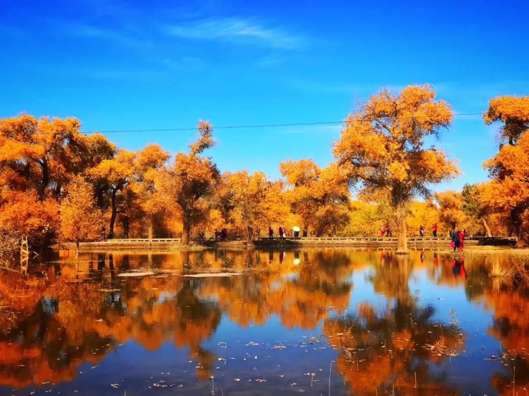 包头去额济纳胡杨林攻略,广州到额济纳胡杨林攻略