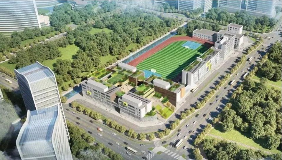 广东省国际学校排名一览表最新,广东国际学校最新排名