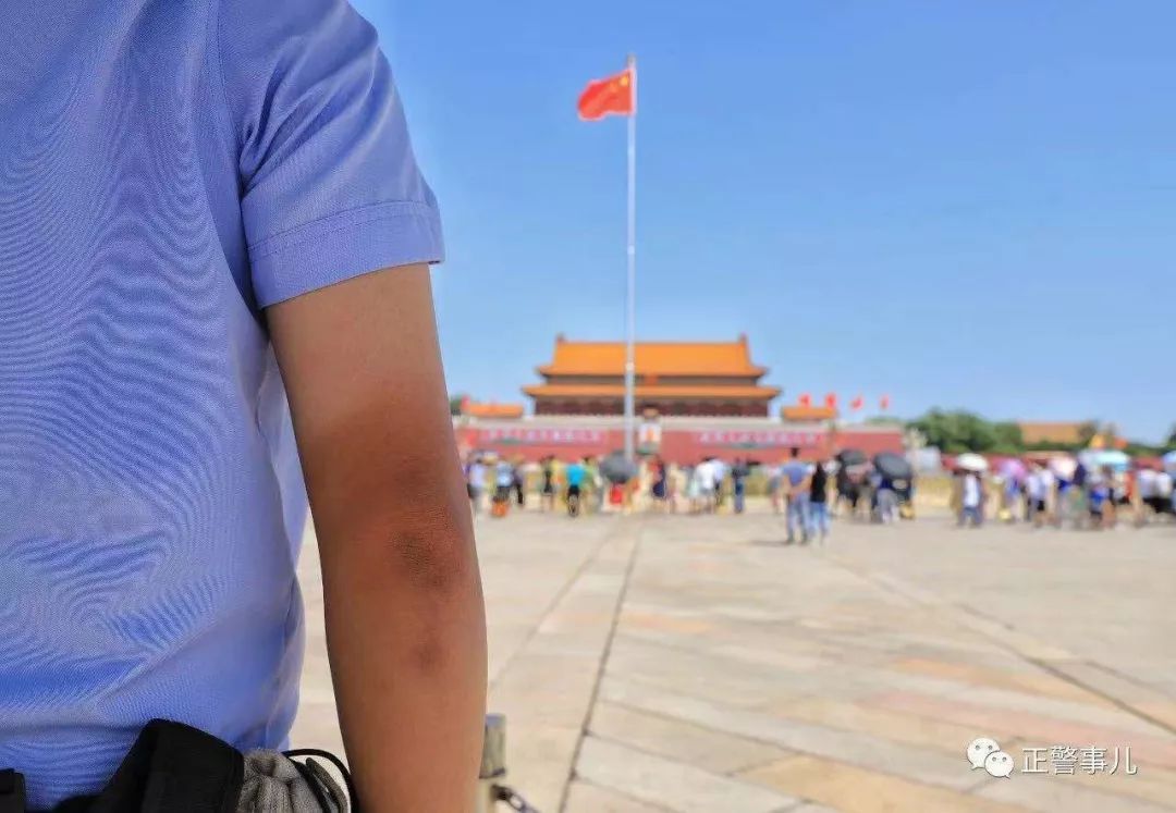 守护者2017在线观看,守护者2017公益