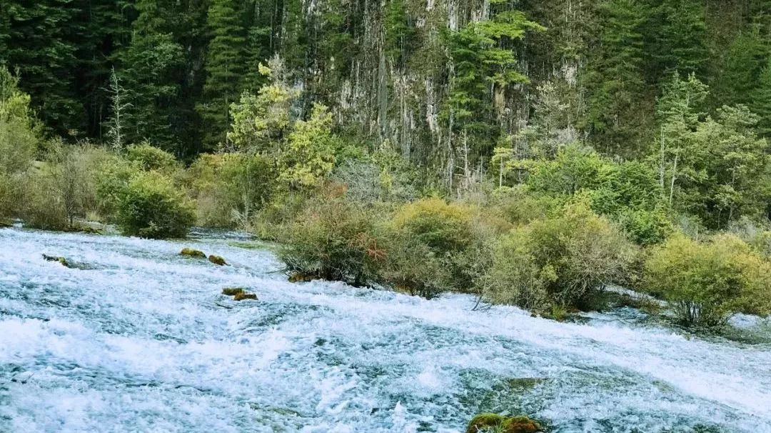 九寨沟恢复开园,九寨沟恢复迎客首游现场直播