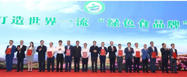 帝泊洱首创普洱茶图片,今年的帝泊洱茶卖得怎么样