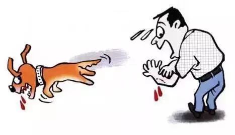 科普正确认识狂犬病,北京疾控中心预防狂犬病