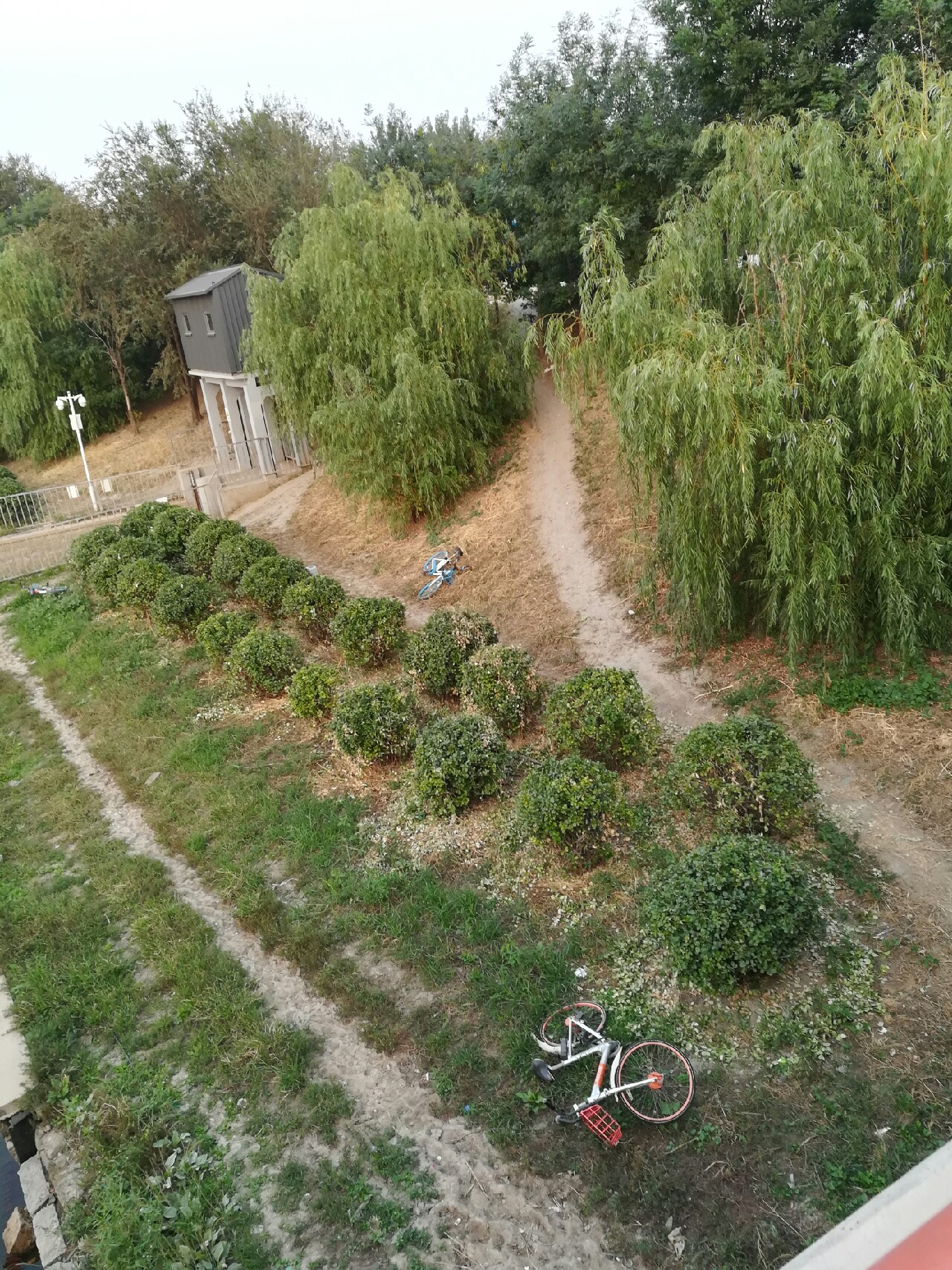 七星连珠天象现身预示什么,七星连珠将现身这有什么意义