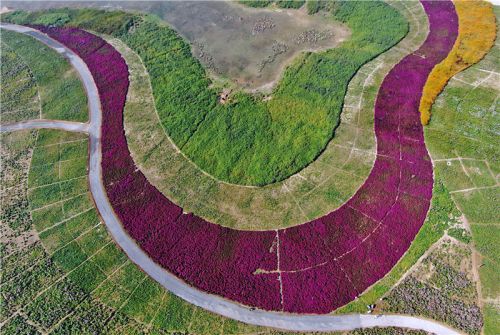 唐三其实是什么模样,唐山是美丽之城吗